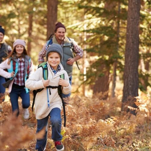 Top Reasons Families Choose Private Mountain Lodges in the Blue Ridge Mountains